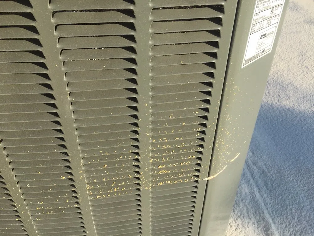 Slide of Durafoam Roofing