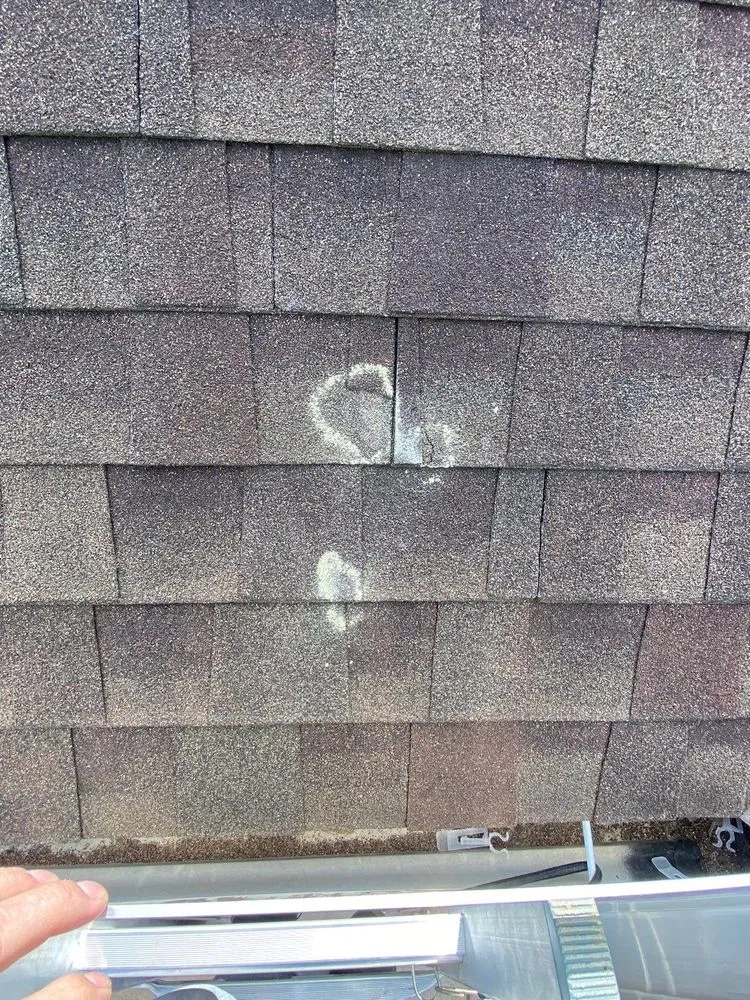 Slide of Dustin Rhoades Element