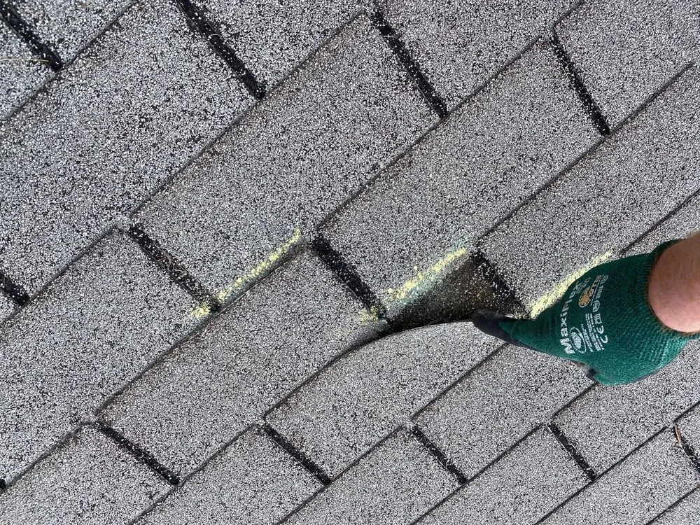 Slide of Dustin Rhoades Element