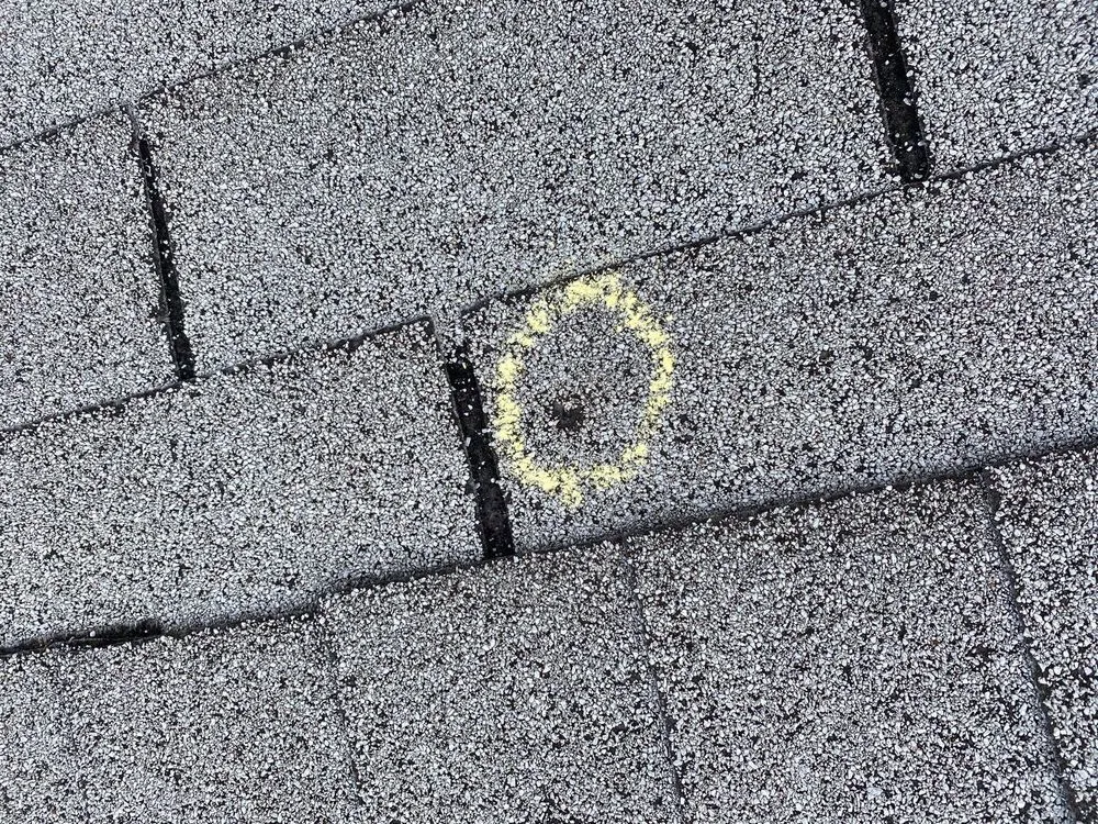 Slide of Dustin Rhoades Element