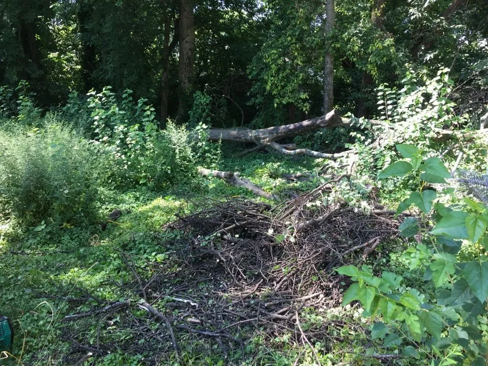 Slide of Dustins Handyman Services