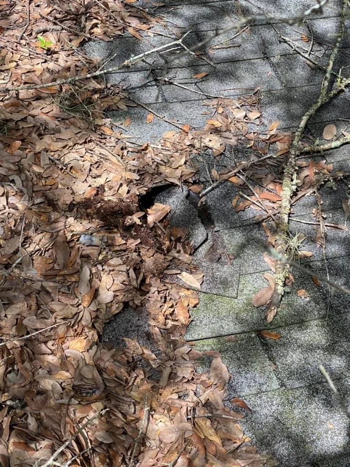 Slide of Dutchman Roofing and Solar