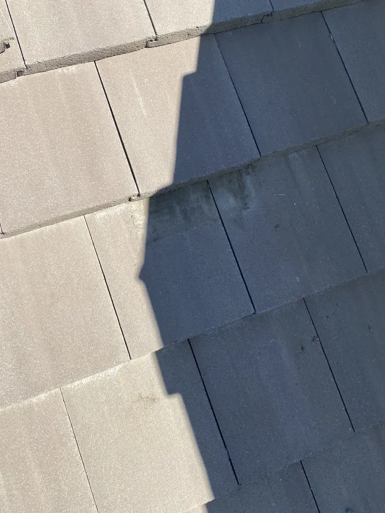 Slide of Dutchmen Construction