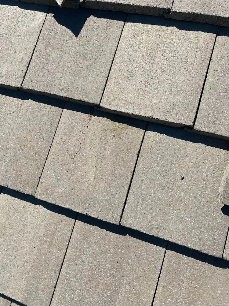 Slide of Dutchmen Construction