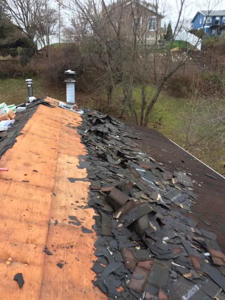 Slide of Dutchmen Construction