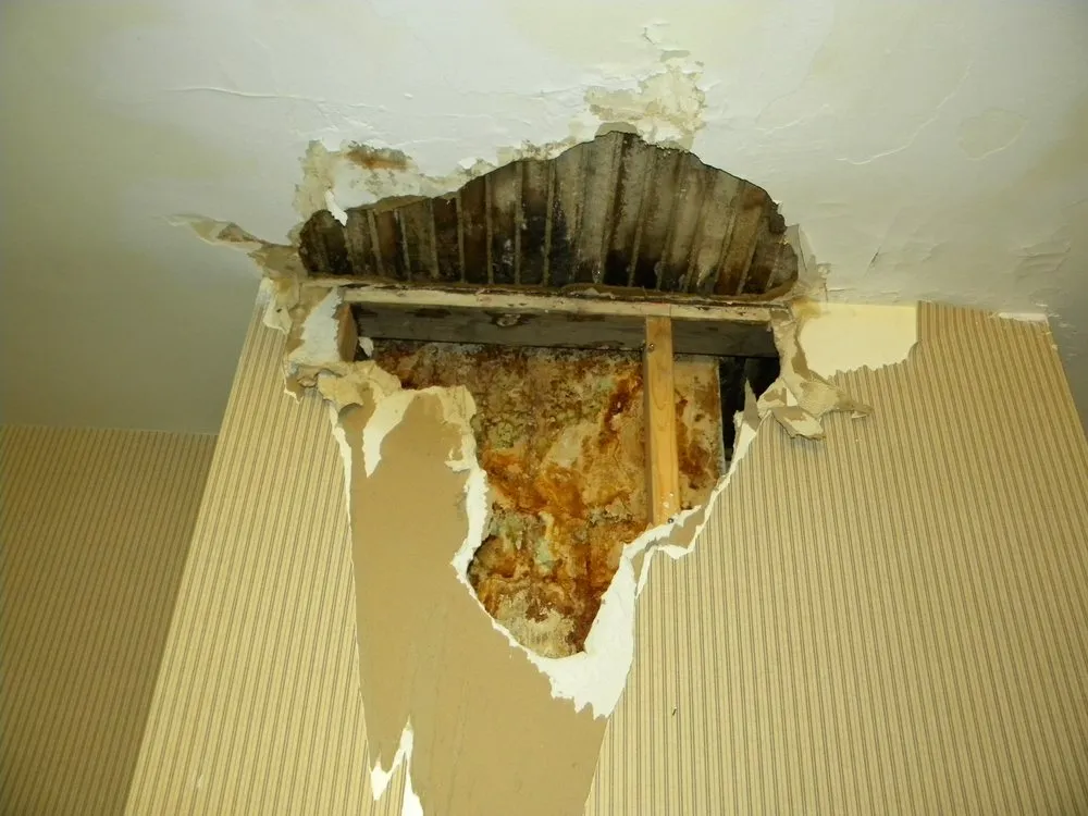 Slide of DWC Restoration