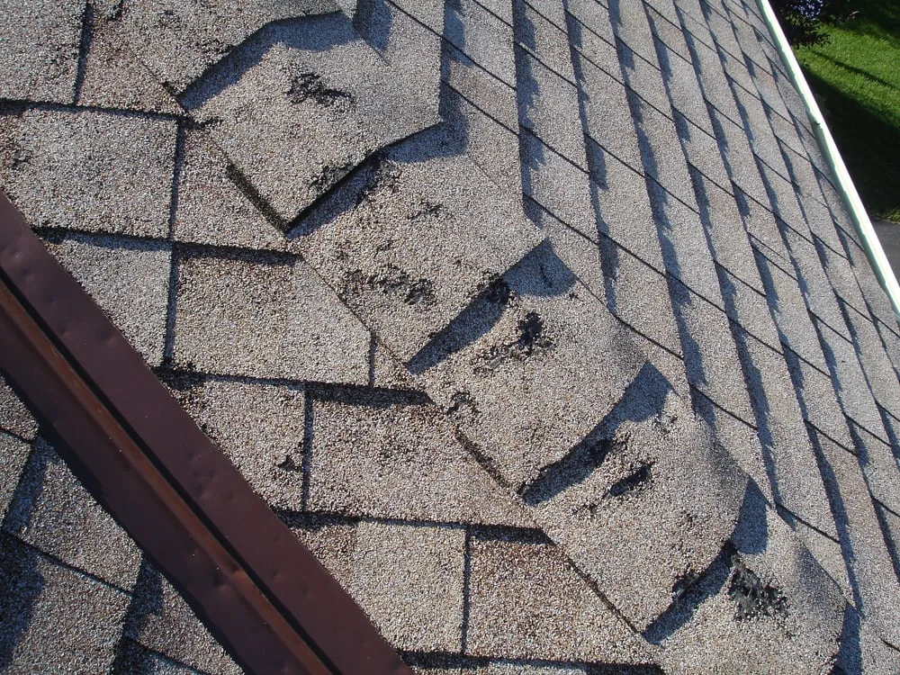 Slide of Dwell Roofing & Exteriors