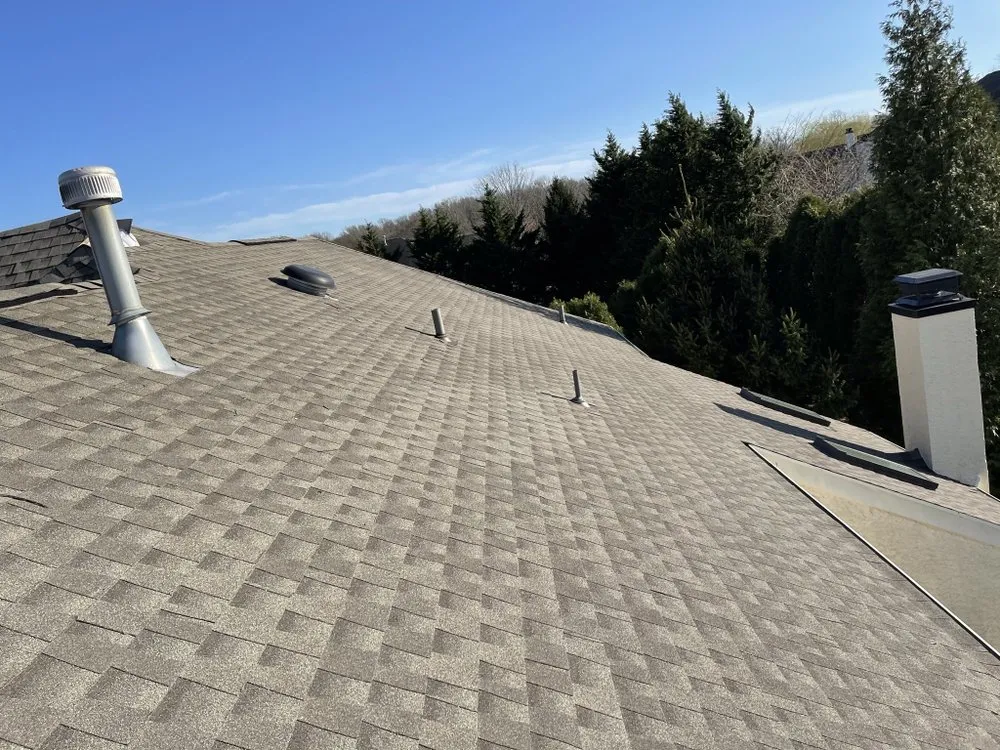 Slide of Dylan’s Construction