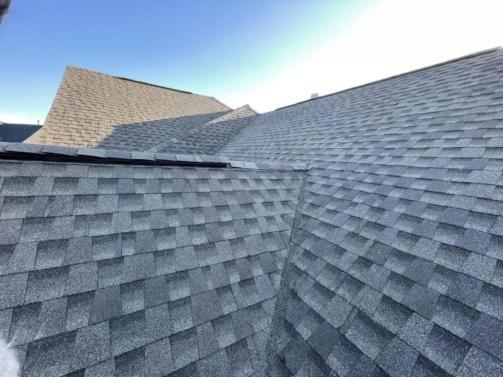 Slide of Dylan’s Construction