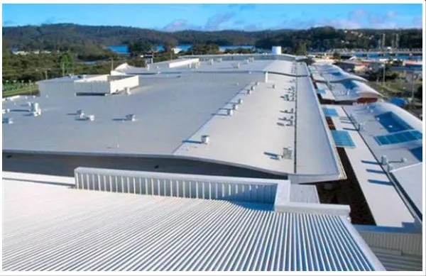 Dynamic National Logo