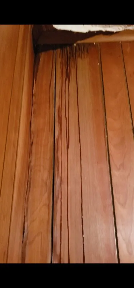 Slide of Dynamic Restoration