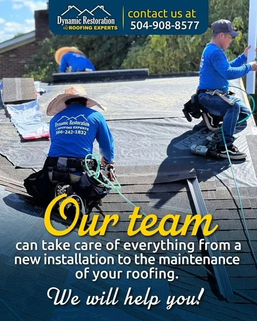 Slide of Dynamic Restoration South