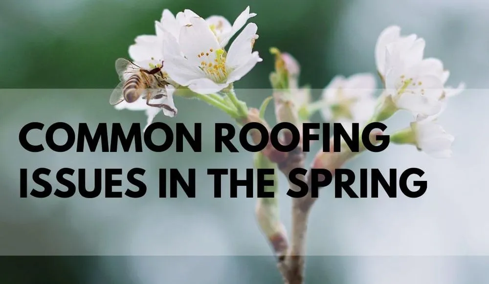 Slide of Dynamic Roofing Solutions