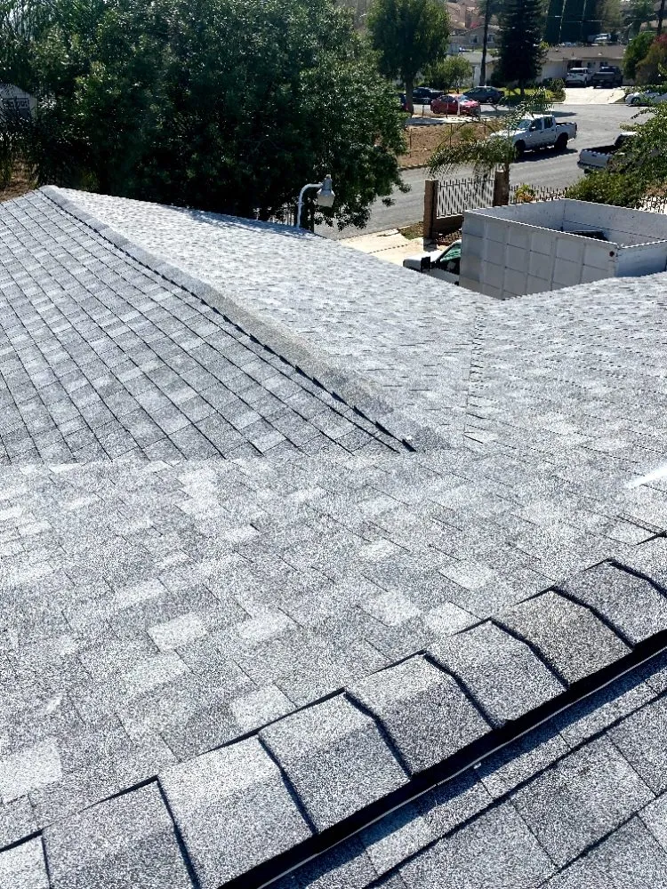 Slide of Dynamic Roofing Systems