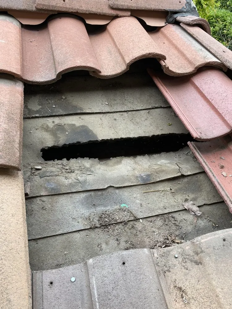 Slide of Dynamic Roofing