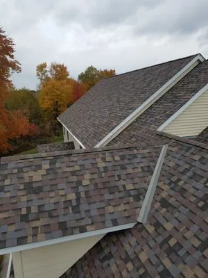 Dynamite Contracting Logo