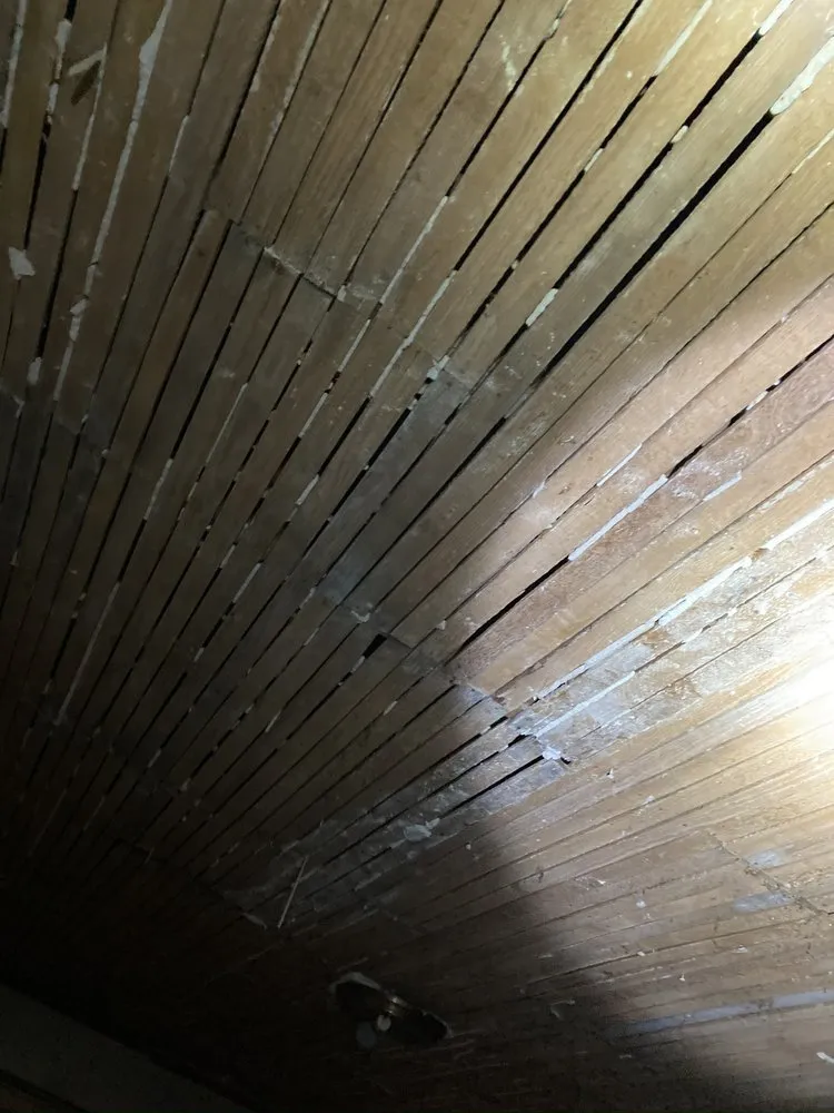 Slide of Dynasty Demolition and Roofing