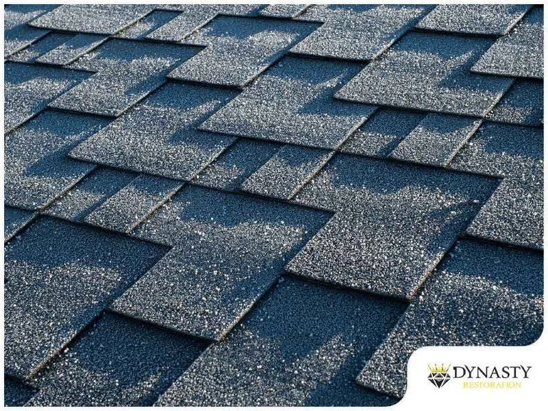 Slide of Dynasty Restoration and Roofing