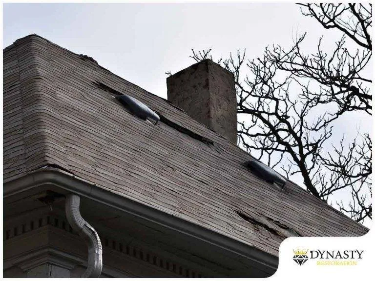 Slide of Dynasty Restoration and Roofing