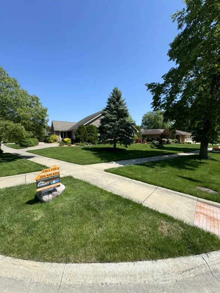 Slide of Dynasty Restoration