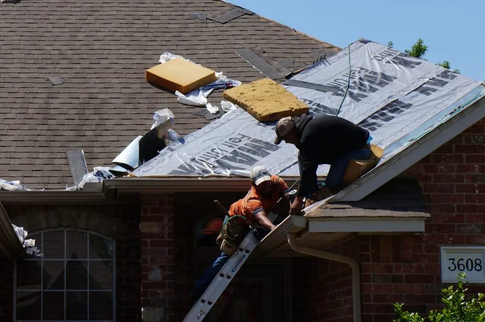Slide of Dynasty Roofing