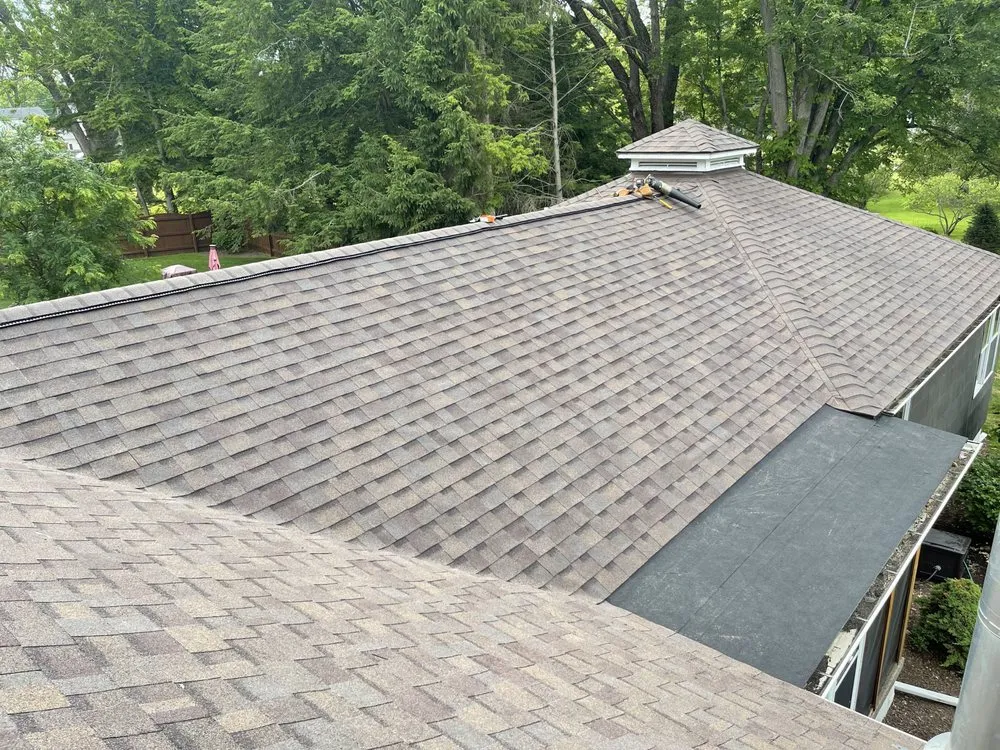 Slide of Dynasty Roofing