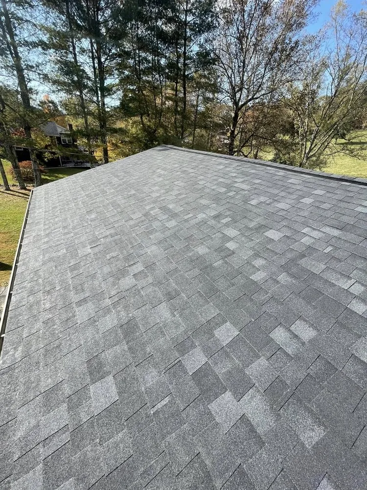 Slide of Dynasty Roofing