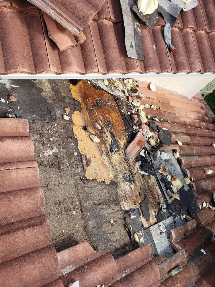 Slide of Dynasty Roofing