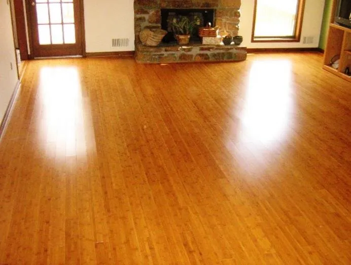 Slide of Dyson Roofing