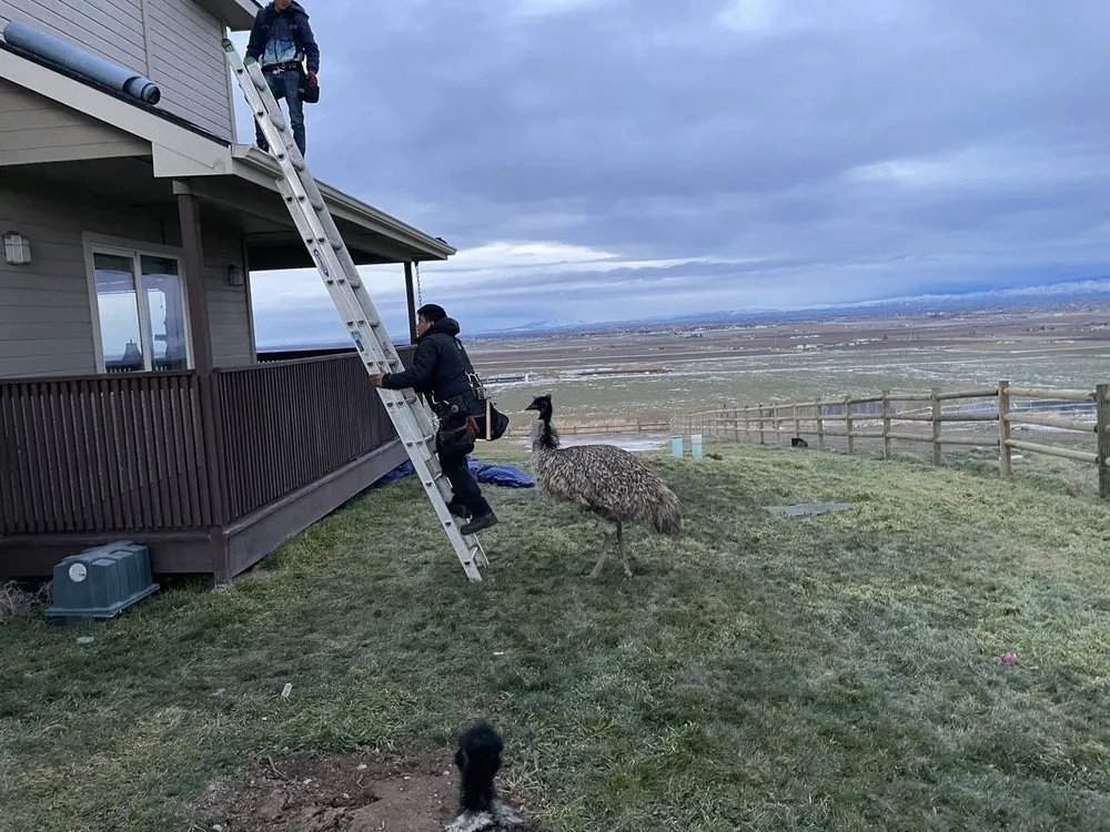 Slide of E & H Roofing