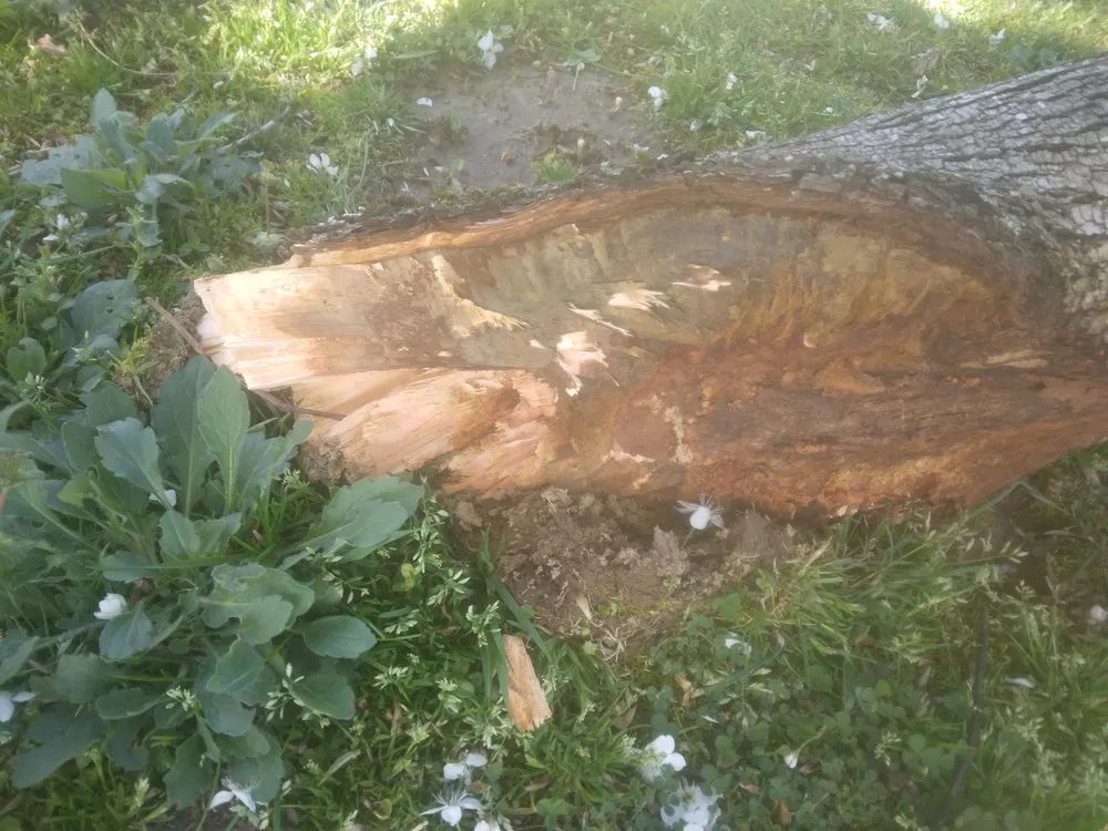 Slide of E and E Handyman