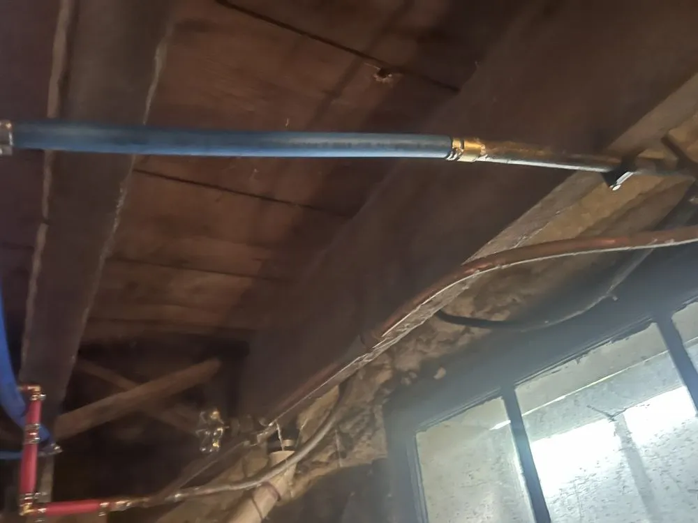 Slide of E and N Preservation