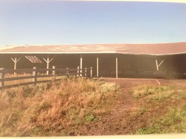 Slide of E Forrest Roofing and Painting