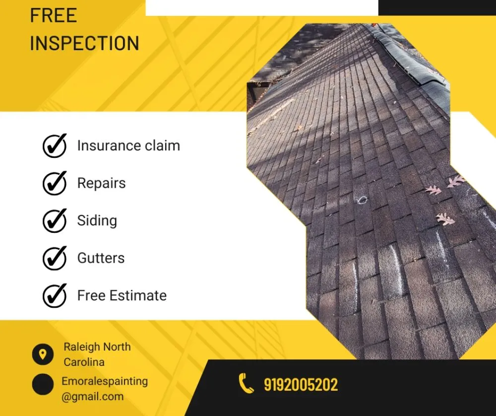 Slide of E Morales Painting