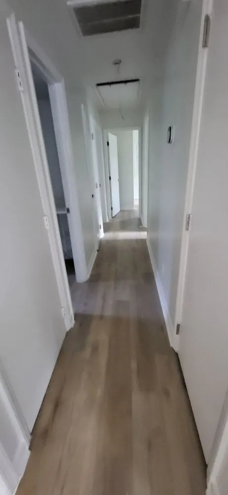 Slide of E Morales Painting