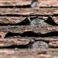 E R C  Roofing and Construction