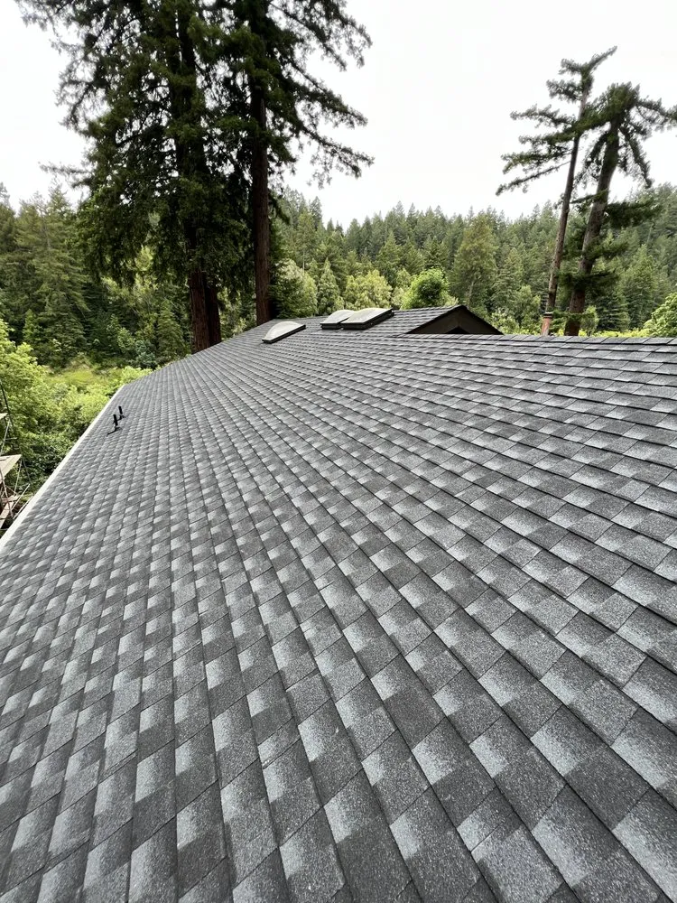 Slide of E Sanchez roofing