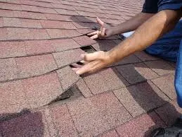 Slide of E4 Construction