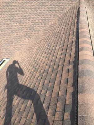 Eagle Construction Logo