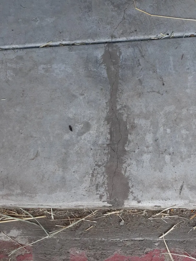 Slide of Eagle Construction