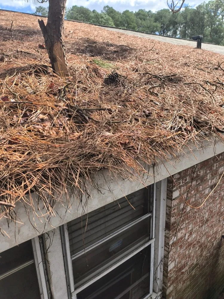 Slide of Eagle Eye Property Enhancements