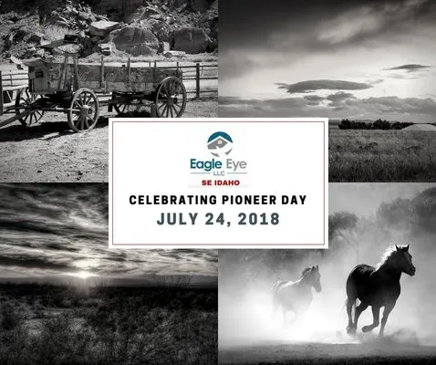 Eagle Eye Roofing Logo