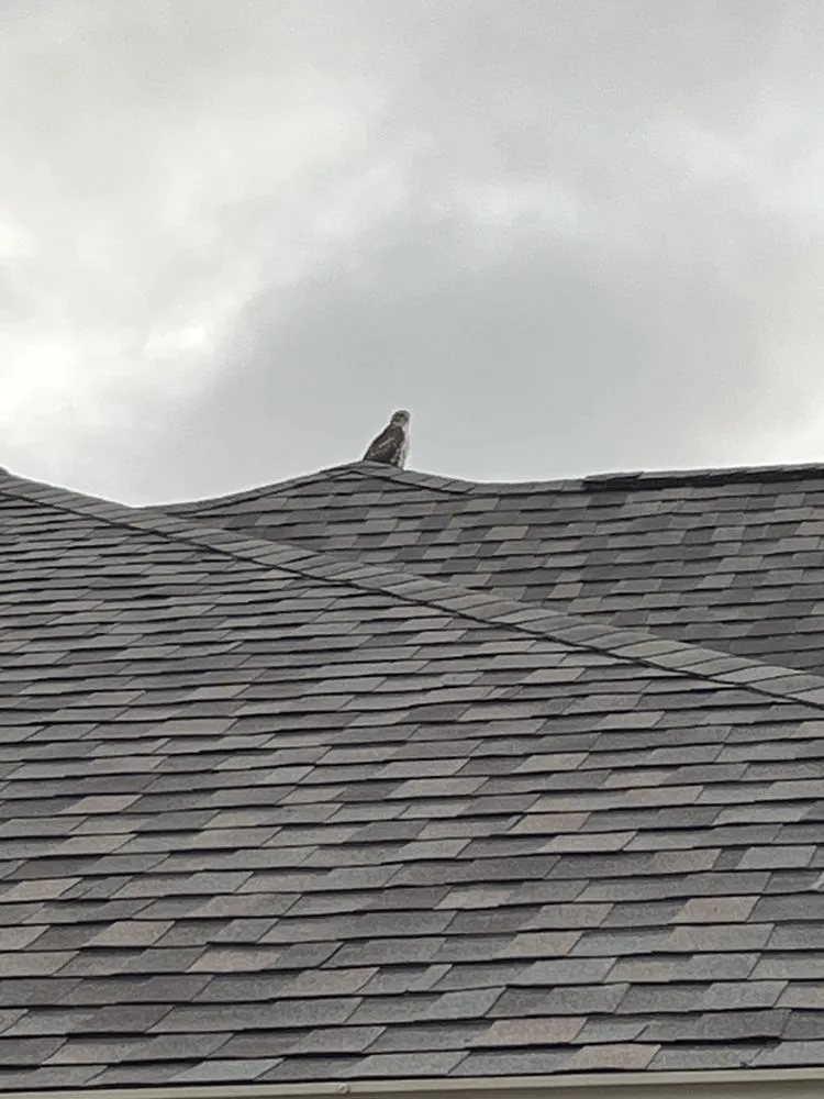 Slide of Eagle Eye Roofing