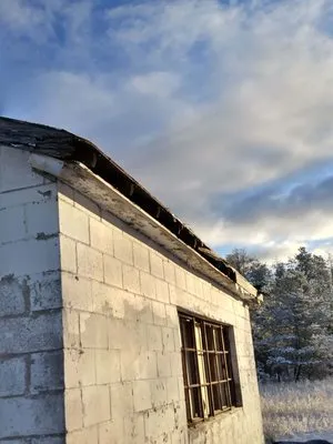 Eagle Home Renovation Logo