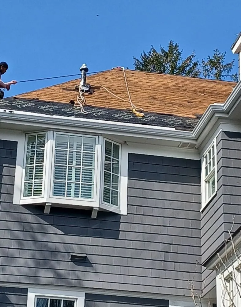 Slide of Eagle Painting & Construction