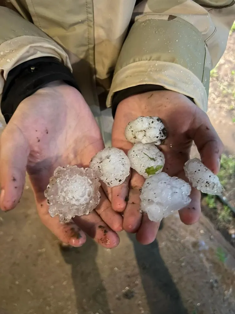Slide of Eagle Restoration Services