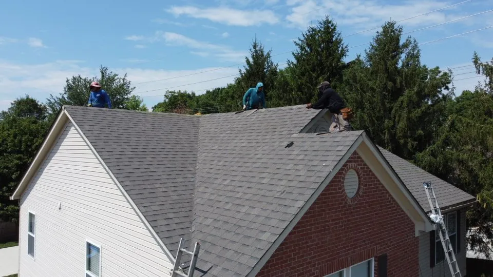 Slide of Eagle Restoration