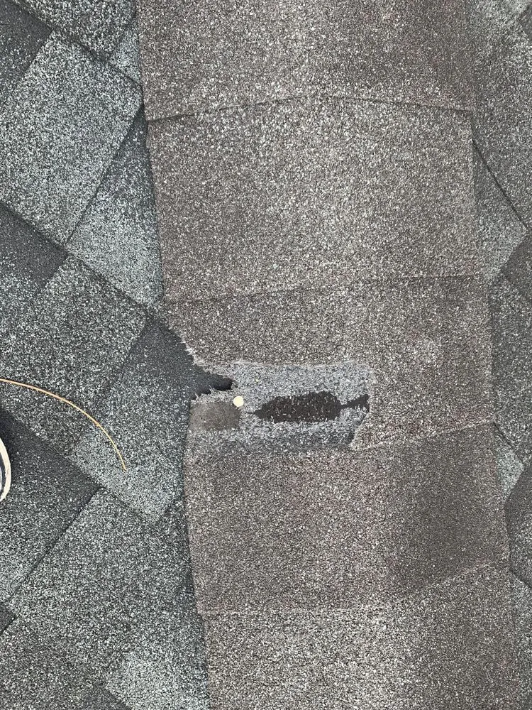 Slide of Eagle’s Speedy Construction