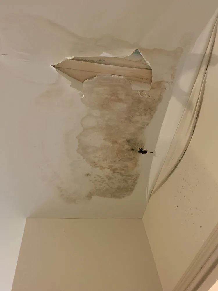 Slide of Eagle’s Speedy Construction