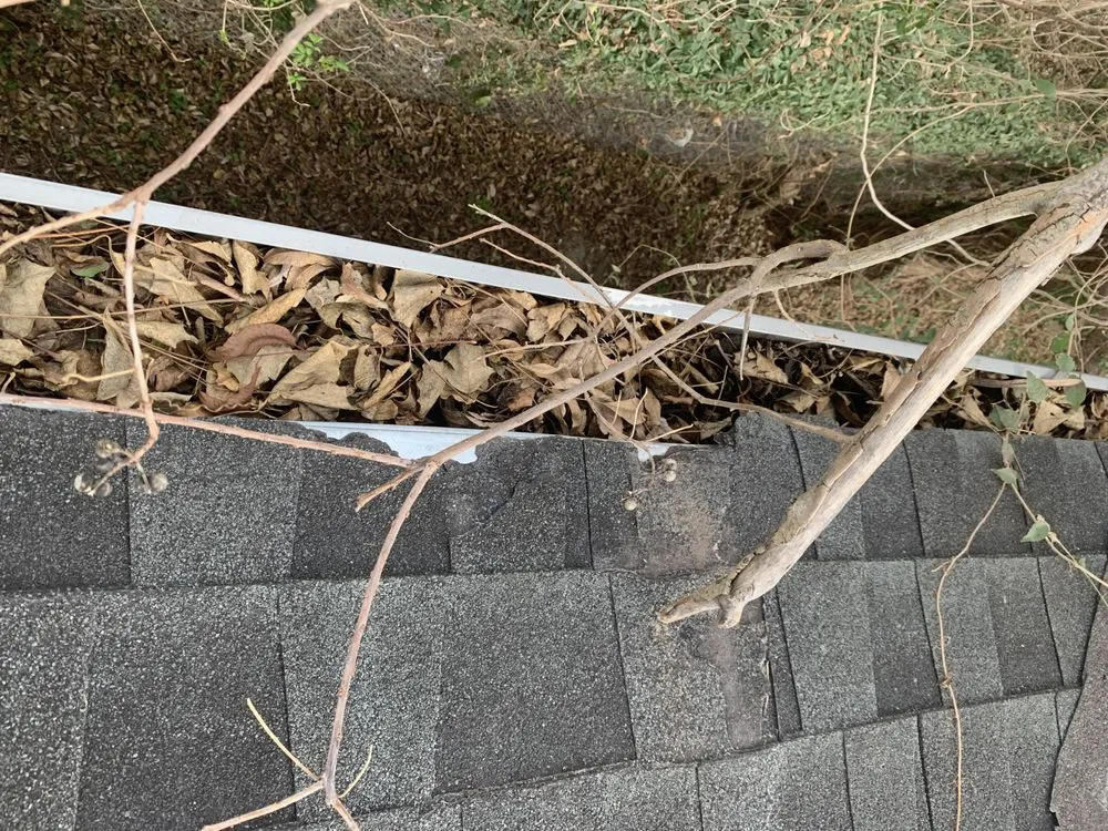 Slide of Eagle’s Speedy Construction